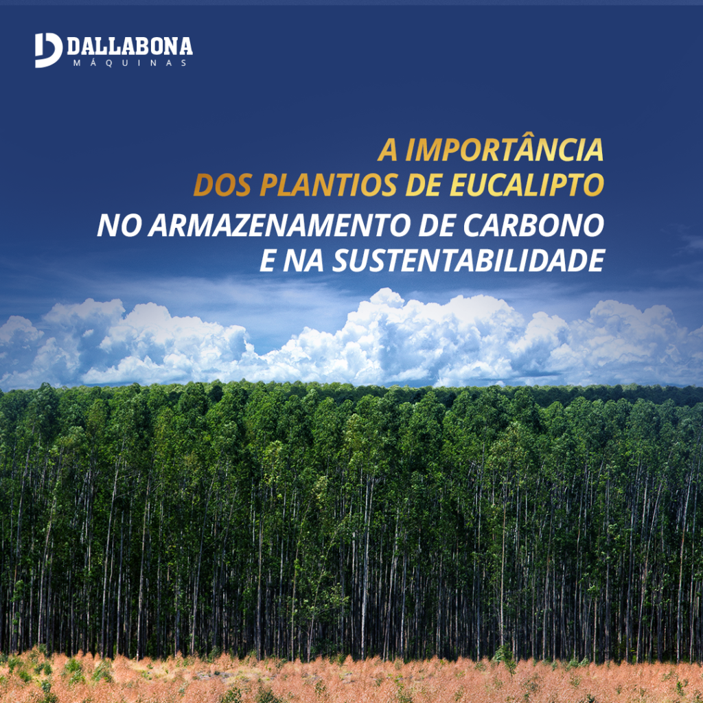 Blog 05 Dallabona Máquinas