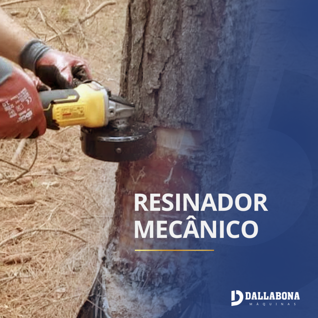 LINKEDIN BLOG 01 02 Dallabona Máquinas