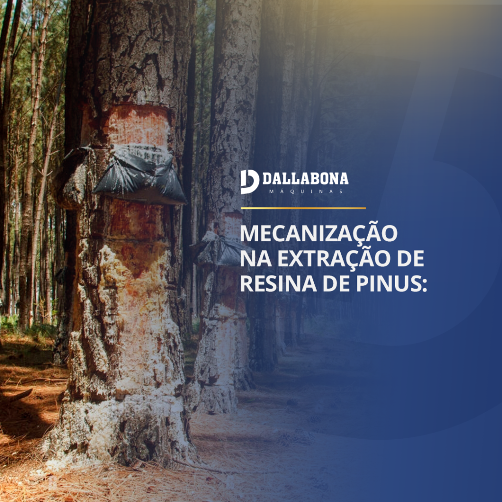 LINKEDIN BLOG 01 Dallabona Máquinas