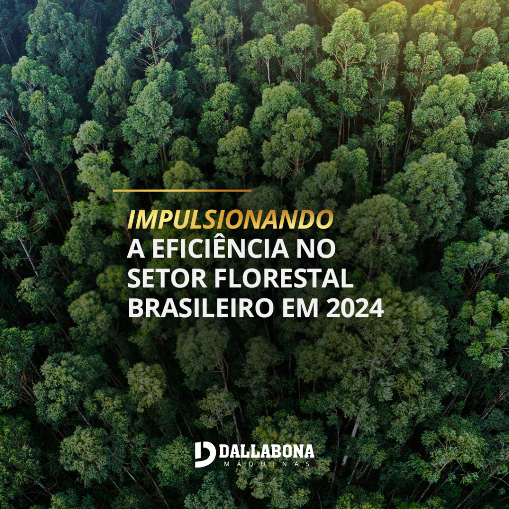 LINKEDIN BLOG 04 Dallabona Máquinas