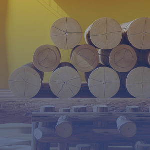 Notícias 7 Dallabona Máquinas Crescimento da industria Dallabona Máquinas